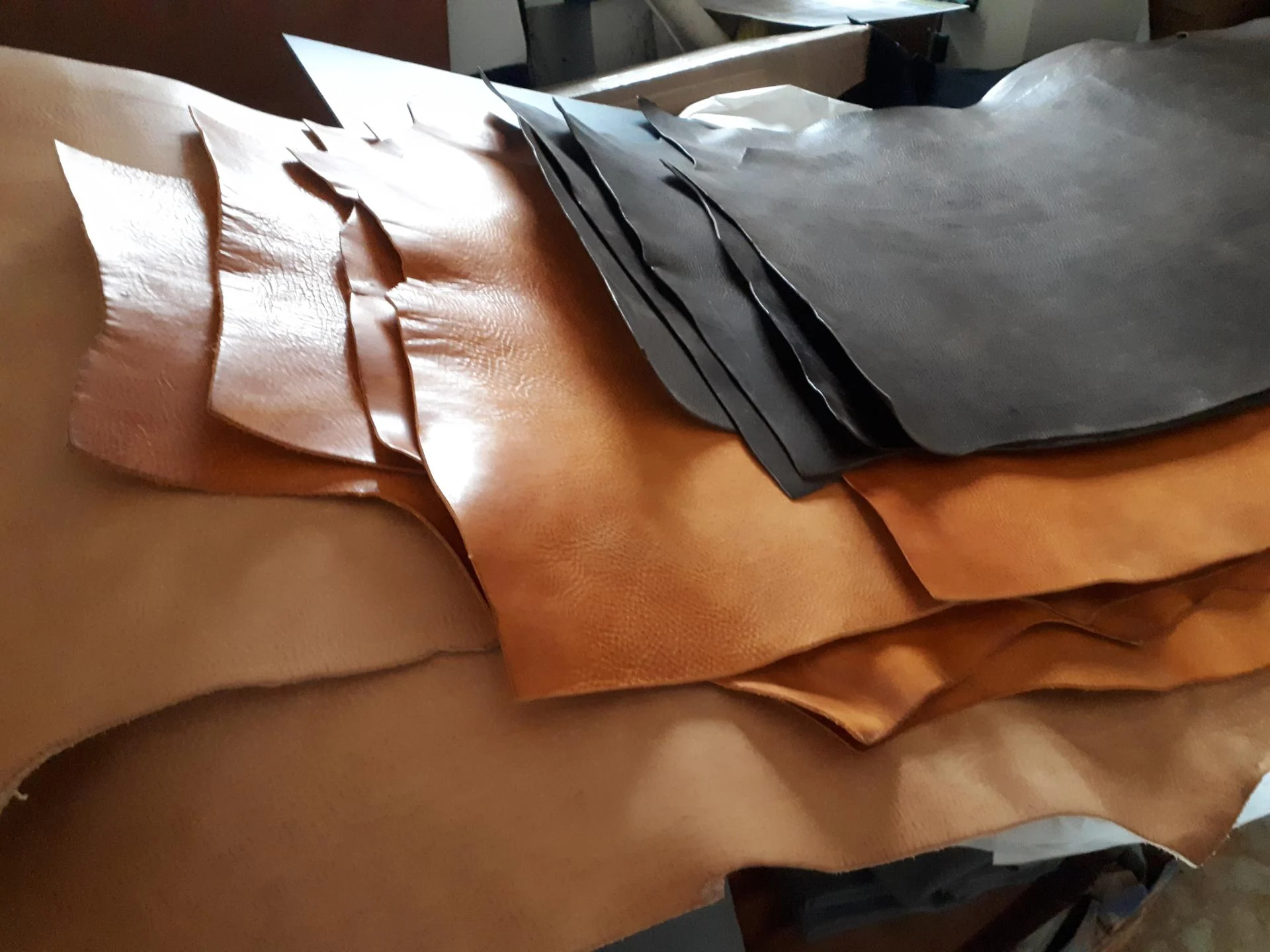 Le cuir avant transformation