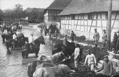 Baignade des chevaux a cote de la burgerstub