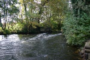 Barrage routoir