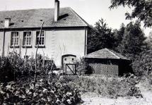 Potager