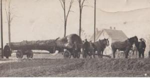 Gi n 44 le bois